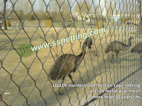 ostrich cage fence netting.jpg