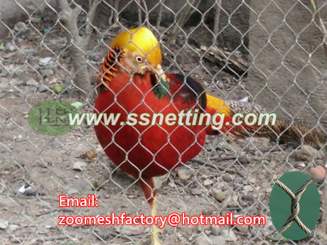 stainless steel Golden Pheasant fence net.jpg