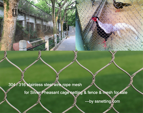 316 stainless steel wire rope mesh for Silver Pheasant cage netting & fence & mesh for sale.jpg