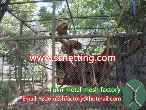 Monkey Hall Lods Malla de cerca de metal, Cuerda de alambre de acero Mono Enclosor Cerca, Monos de oro Cause Metal Net