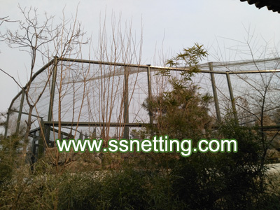 Netificación de la valla de aves de acero inoxidable - paraguas cubierto natural de aves