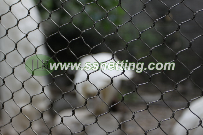 Malla de alambre del zoológico para pequeñas aves de esgrima de jaula