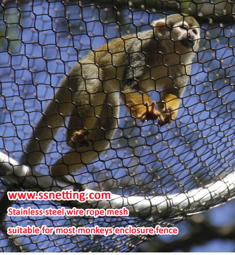 ¿Es la malla de la cuerda de alambre de acero inoxidable adecuada para el gabinete de los monos marmosetes?