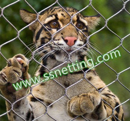 big cat stainless steel cable mesh.jpg