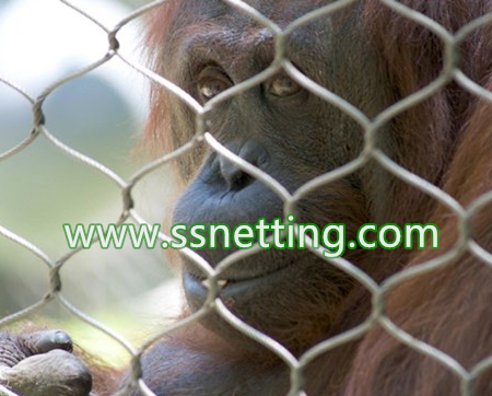 Ventas de malla de paneles grandes para Monkey Exhibit Fence Netting, Cajas de jaula de mono