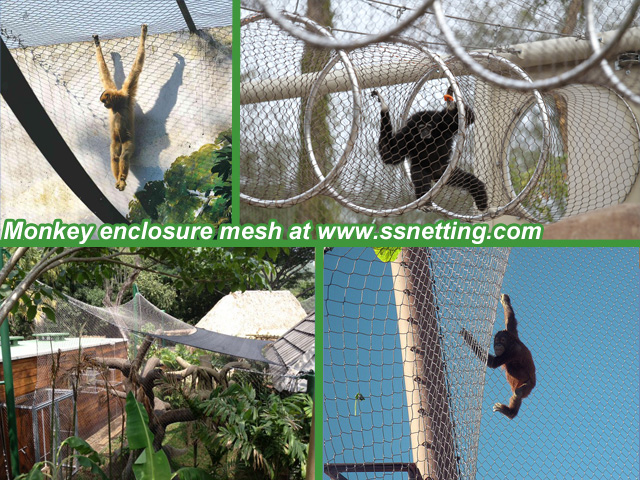 Selección de malla de cuerda de alambre de acero inoxidable en la reconstrucción del zoológico